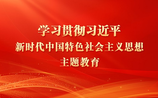 学习贯彻习近平新时代中国特色社会主义思想主题教育